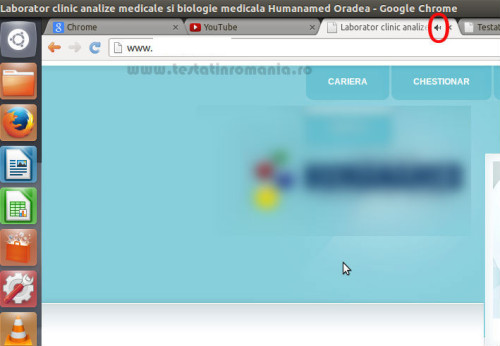 Google_chrome32