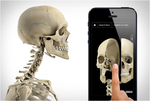 SKELETON SYSTEM PRO III, explorează scheletul uman pe iPhone