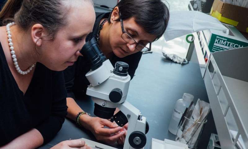 Titaniul combinat cu aurul rezultă într-un aliaj incredibil de dur