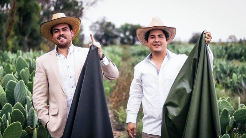 Pielea din cactus mexicană a fost nominalizată la premiul ECO GERMAN