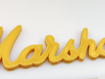 Logo Marshall